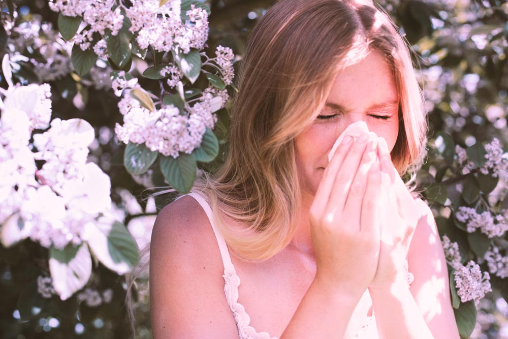 What Is Hay Fever (Allergic Rhinitis)?