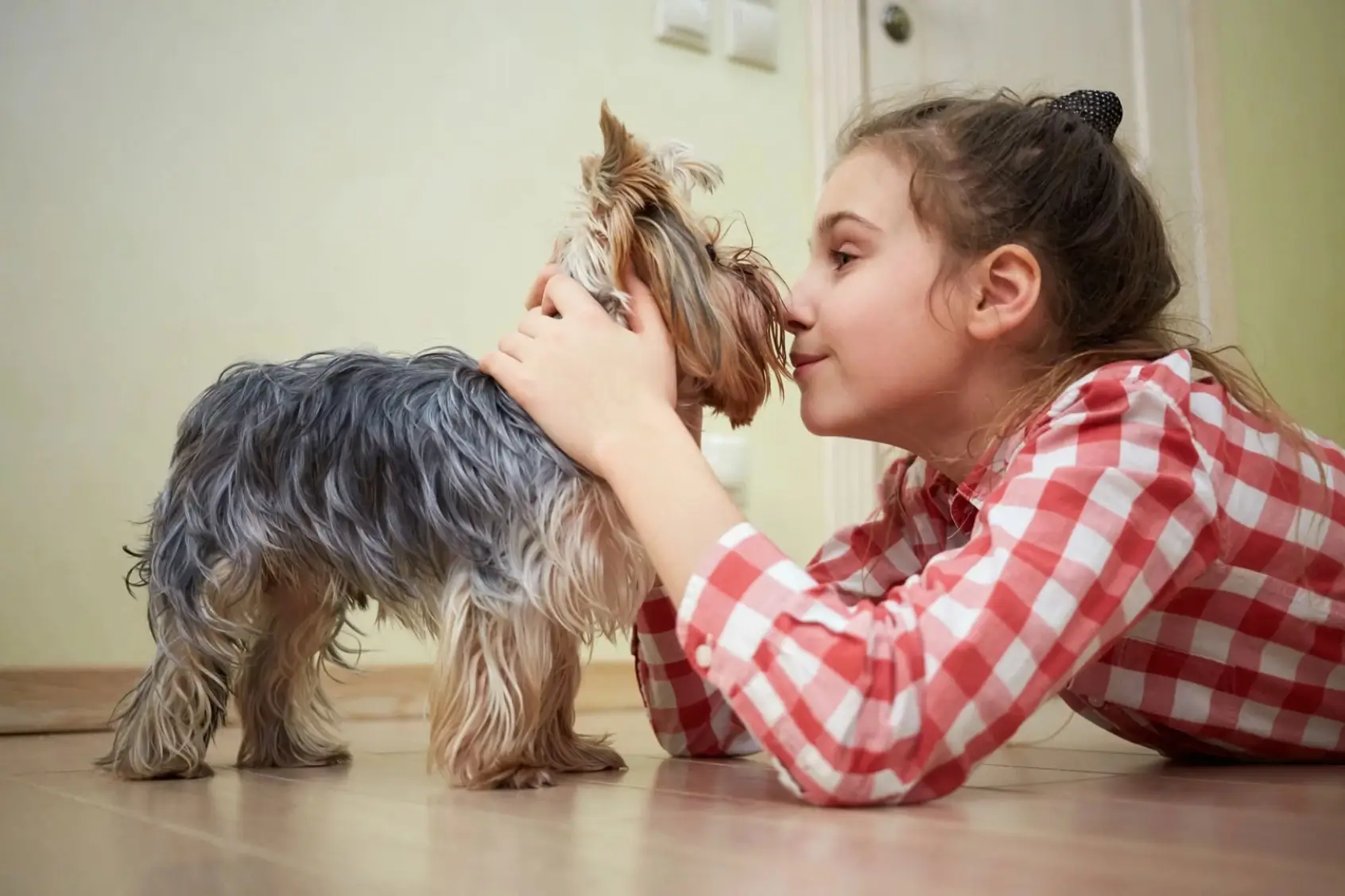 Hypoallergenic pets and pet allergies